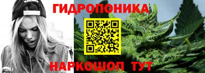 СК Новокубанск