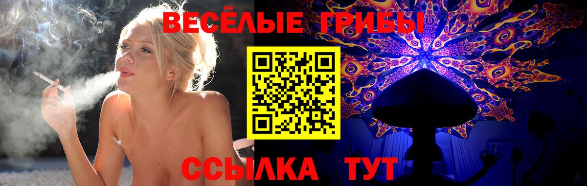 Галлюциногенные грибы мухоморы Удомля